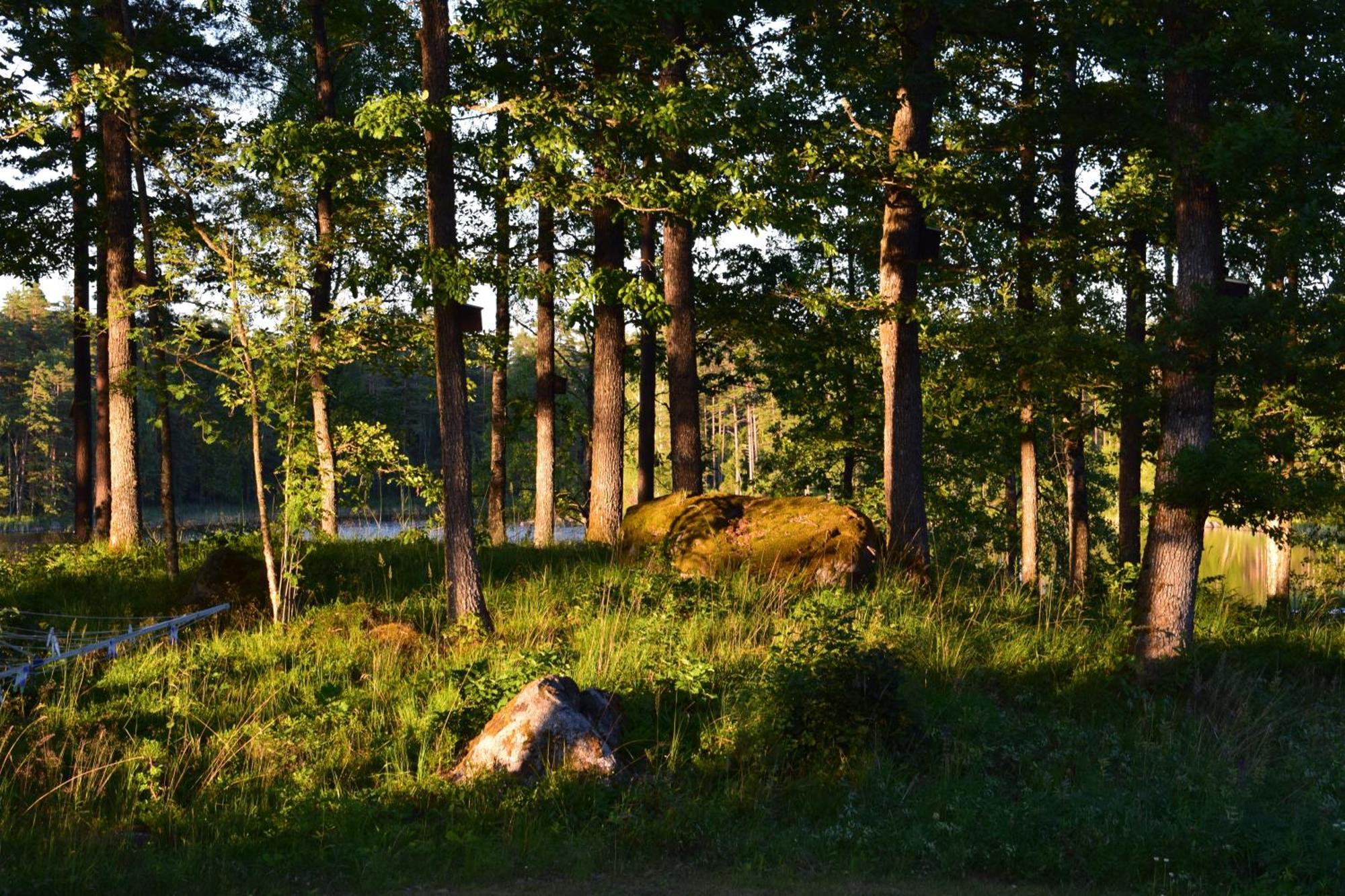 Aengsstugan Urshult Exteriör bild