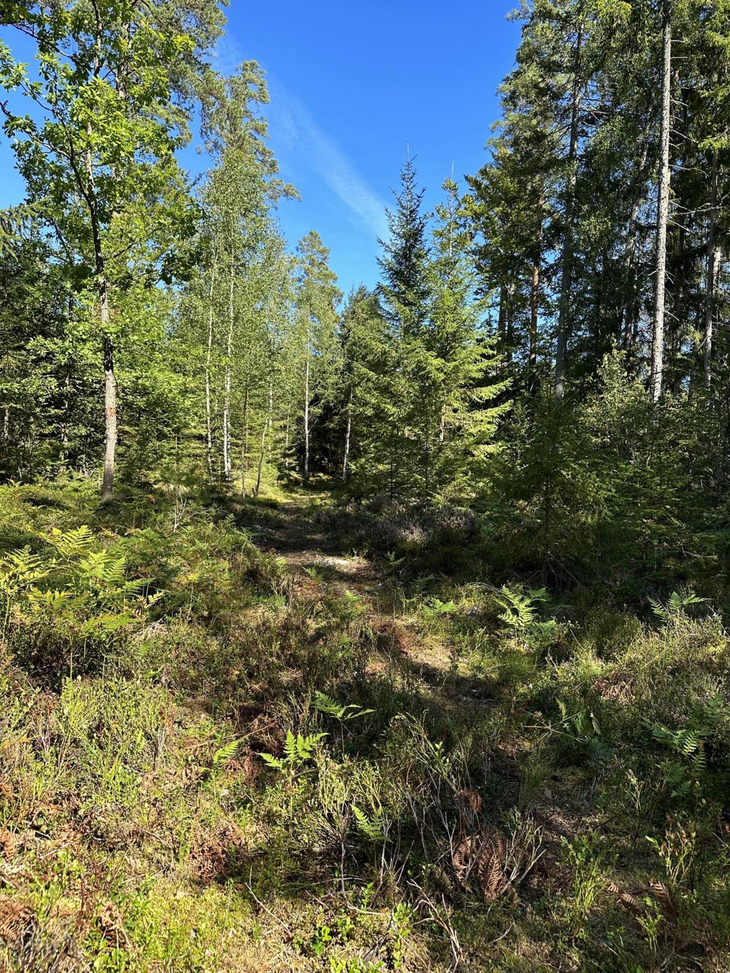 Aengsstugan Urshult Exteriör bild