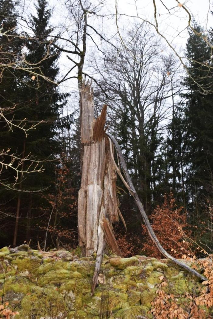Aengsstugan Urshult Exteriör bild
