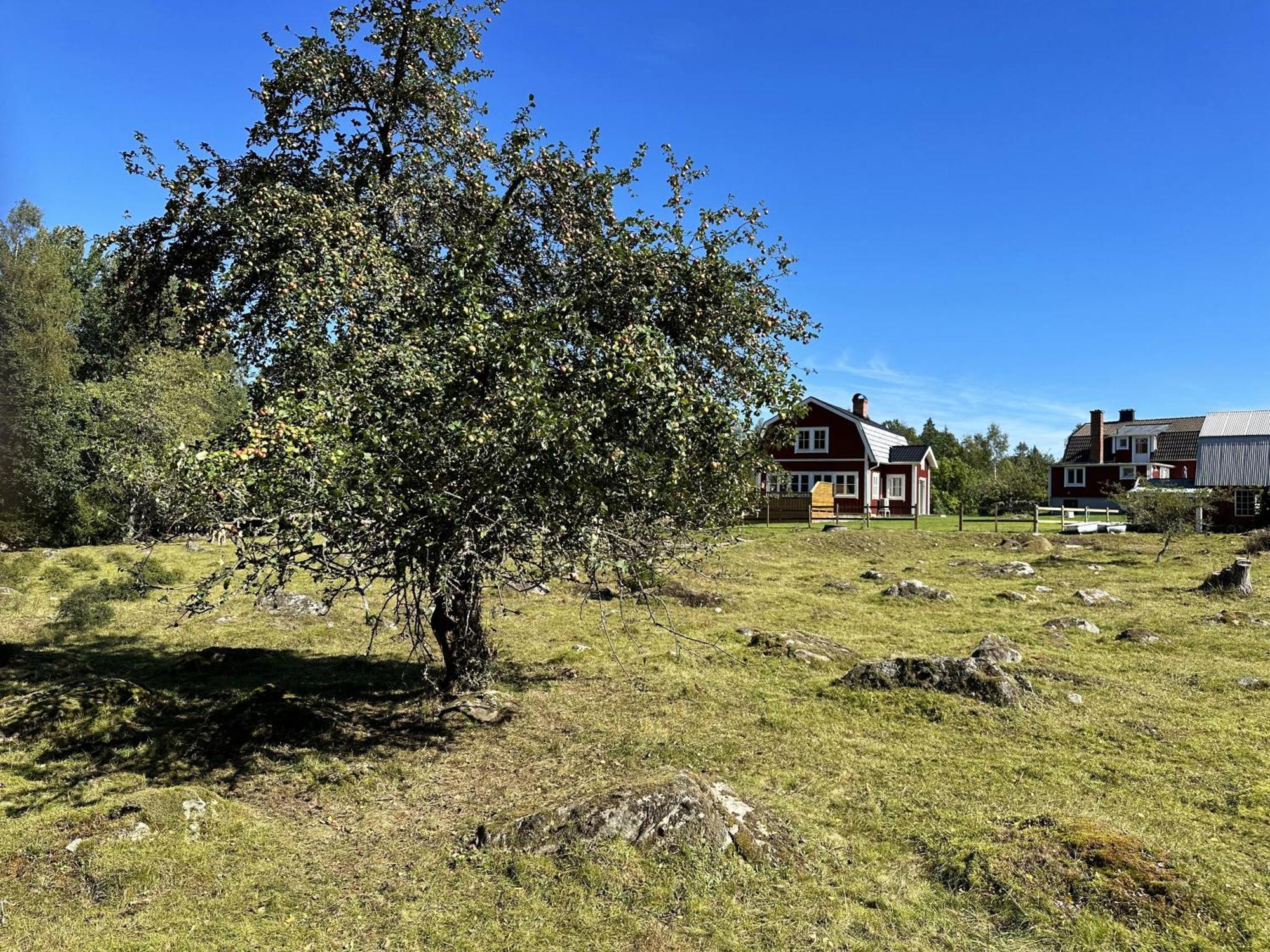 Aengsstugan Urshult Exteriör bild