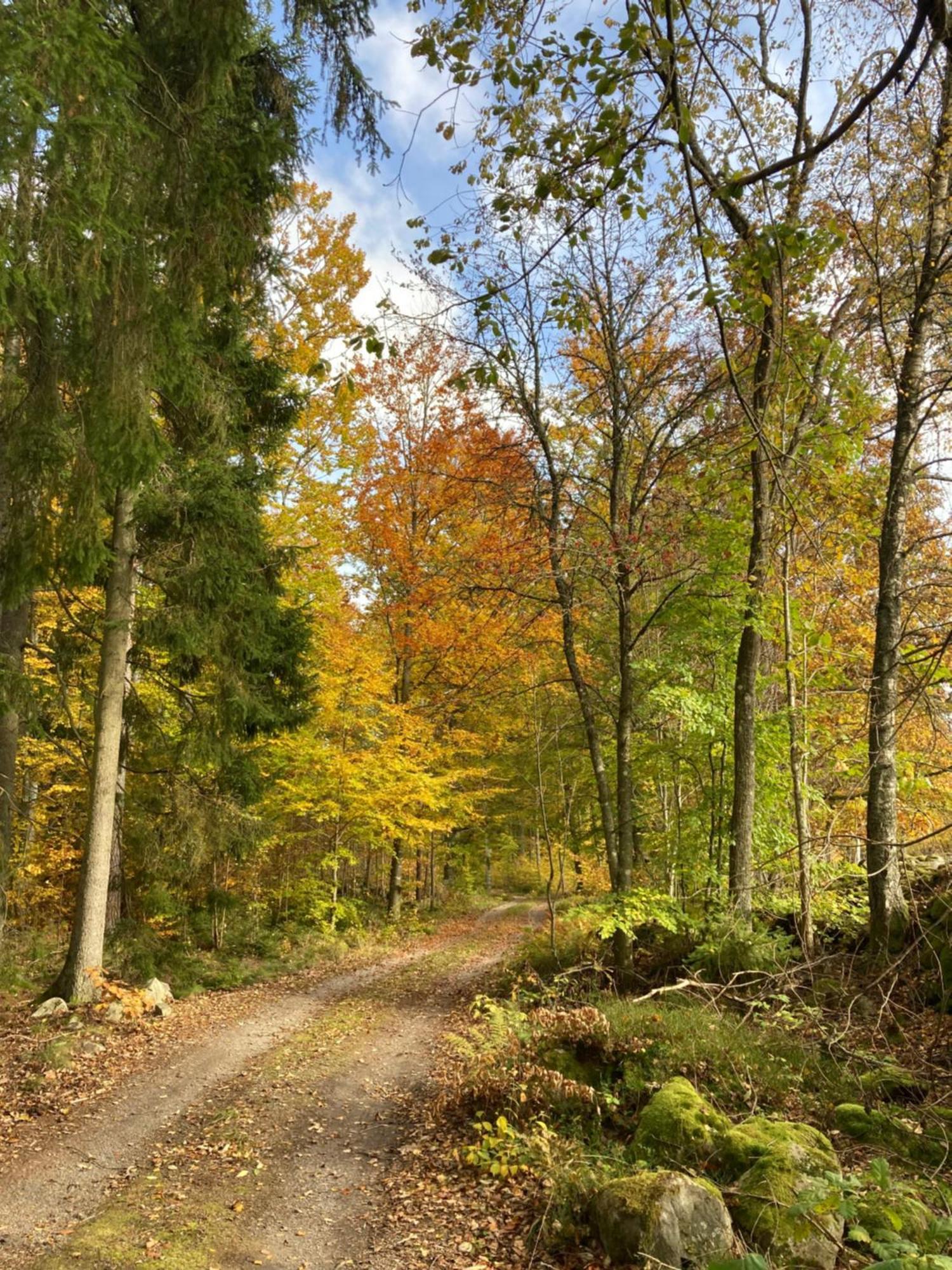 Aengsstugan Urshult Exteriör bild