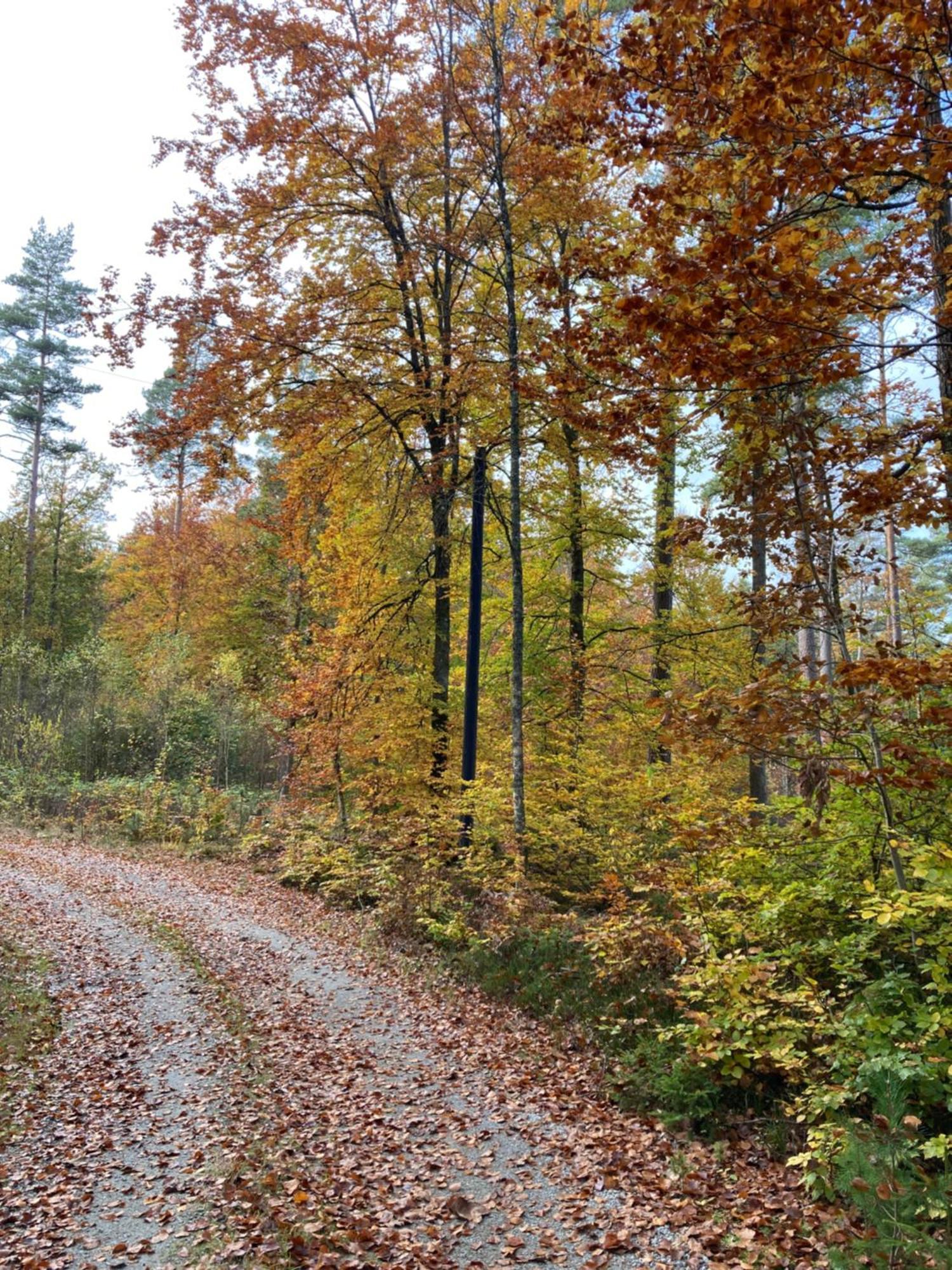 Aengsstugan Urshult Exteriör bild